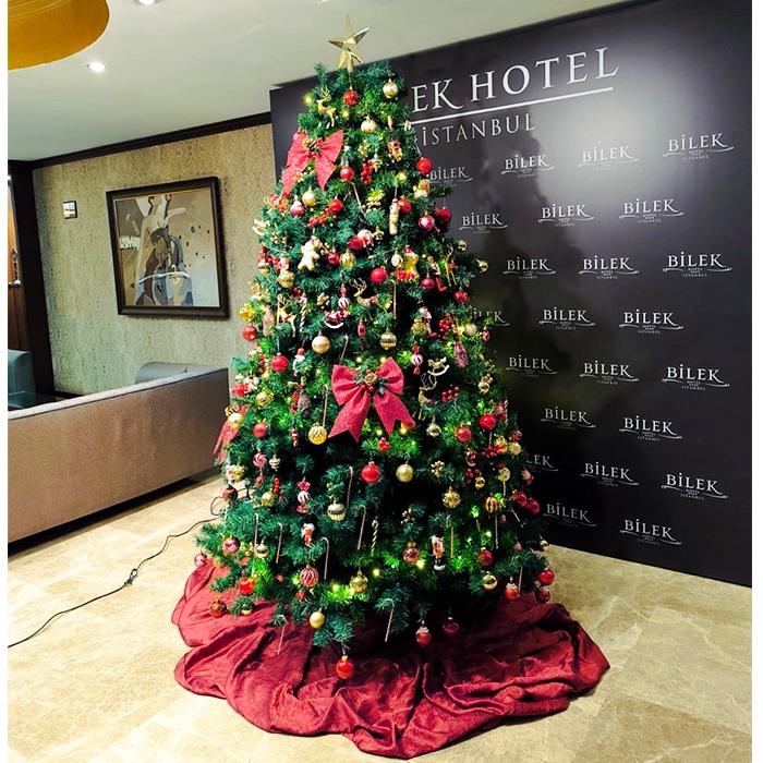 250 Cm Yılbaşı Ağacı 1620 Dal