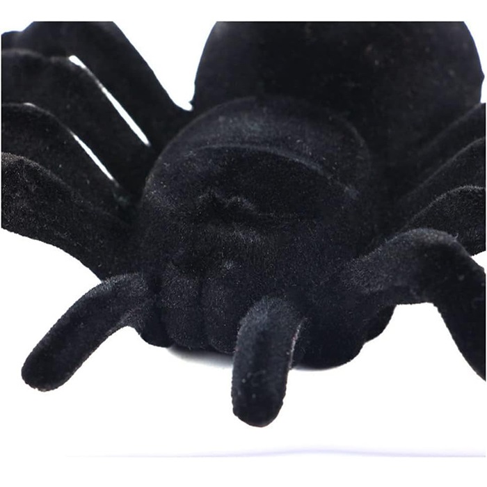 Cadılar Bayramı Şaka Tarantula