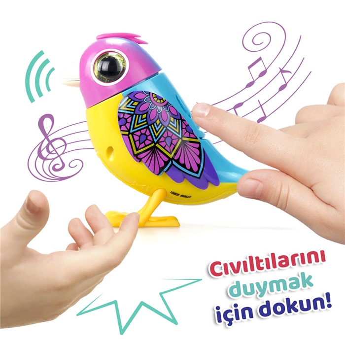 Digibirds Tekli Paket Seri