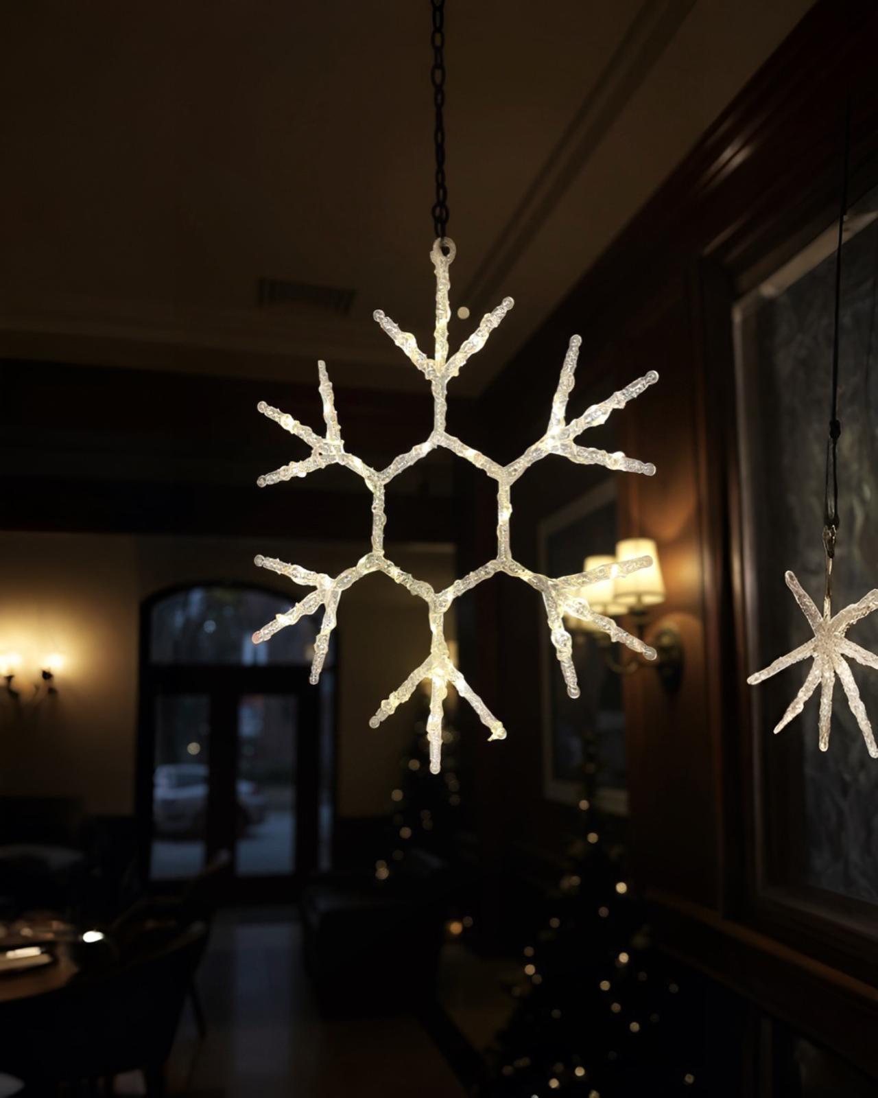 Dış Mekan Mika Kar Tanesi Işık 50 cm