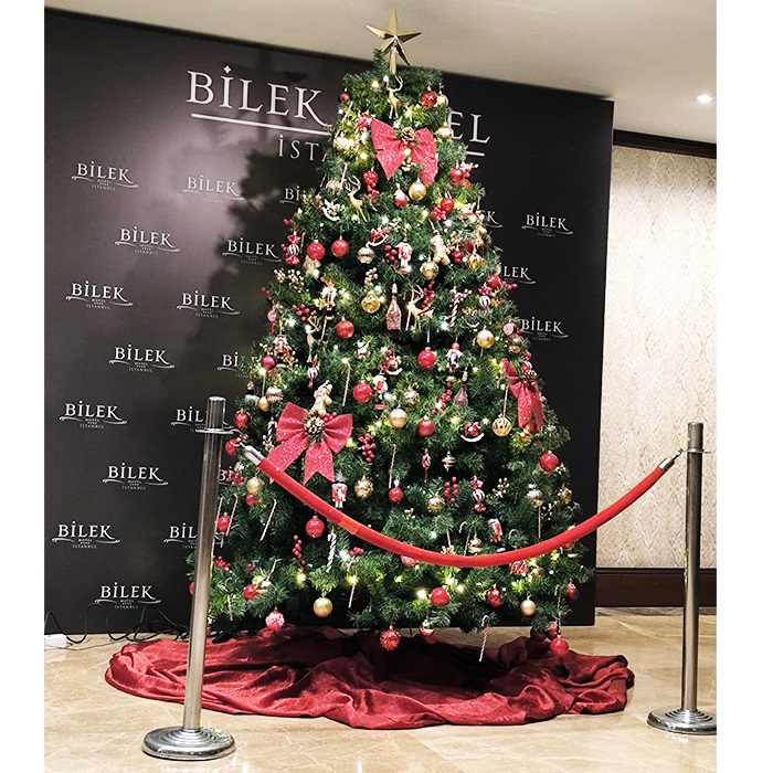 250 Cm Yılbaşı Ağacı 1620 Dal