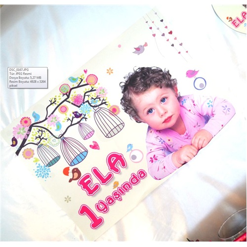 Kişiye Özel Lüx Cute Birds Duvar Afişi