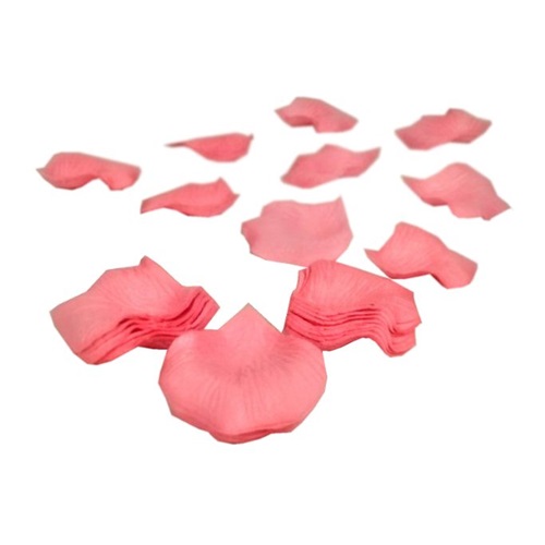 Pembe Renkli Gül Yaprakları