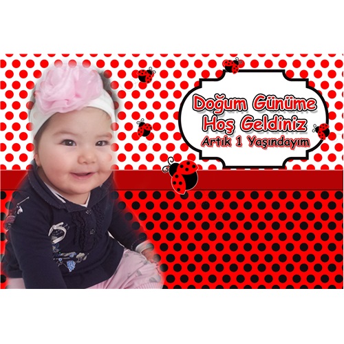 Uğur Böceği Kişiye Özel Duvar Panosu