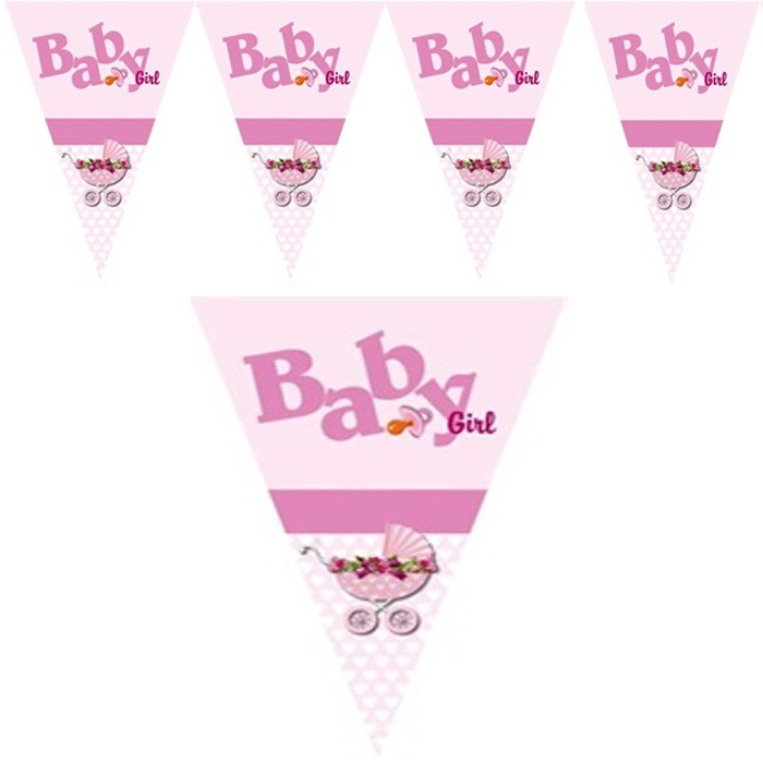 Cinsiyet Partisi Baby Girl Bayrak Flama