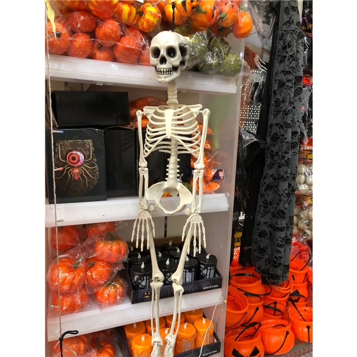 Cadılar Bayramı Gerçek Görünümlü İskelet Asma Süs