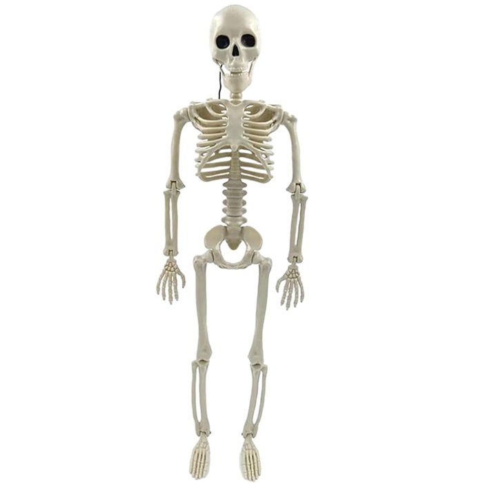 Cadılar Bayramı İskelet Asma Süs