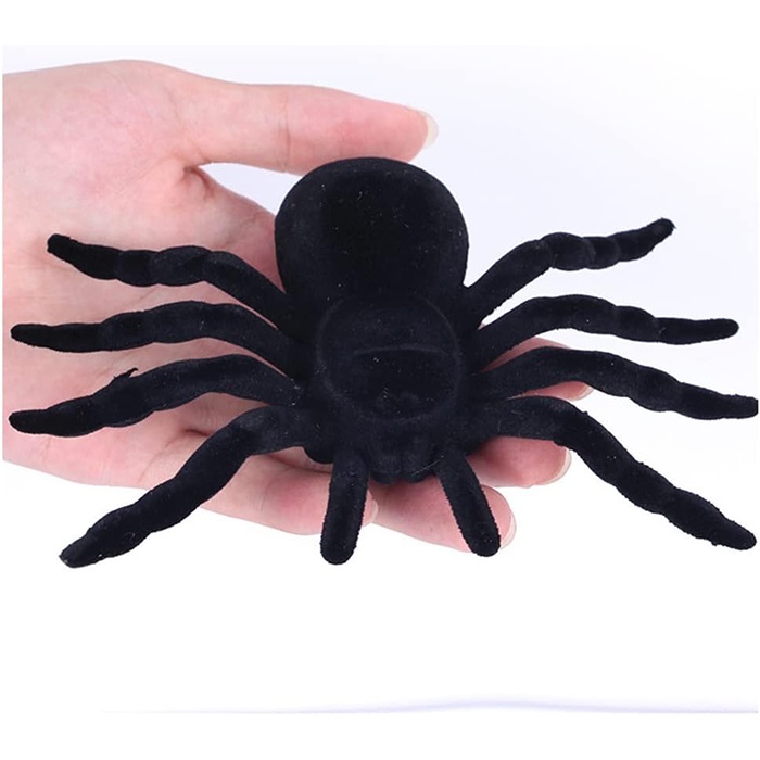 Cadılar Bayramı Şaka Tarantula