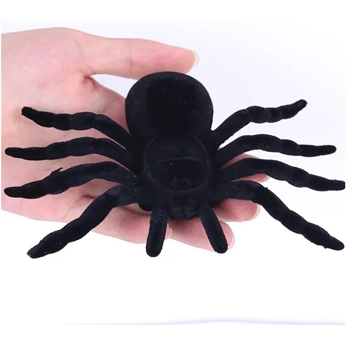 Cadılar Bayramı Şaka Tarantula