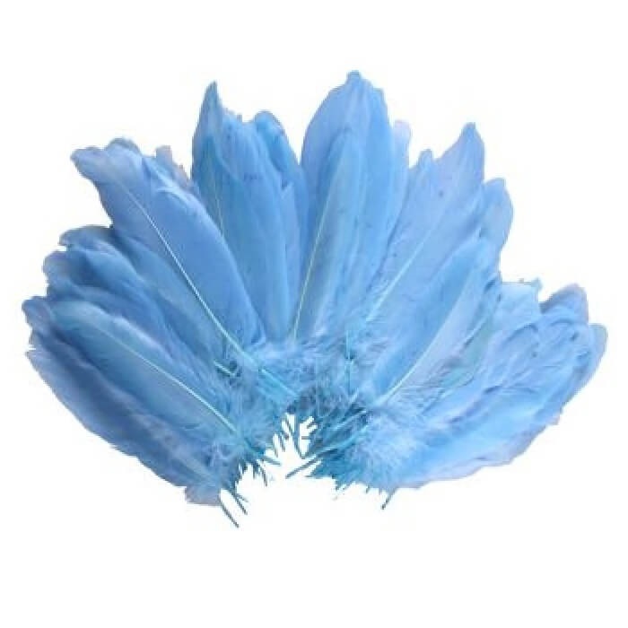 Mavi Renkli Kaz Tüyü