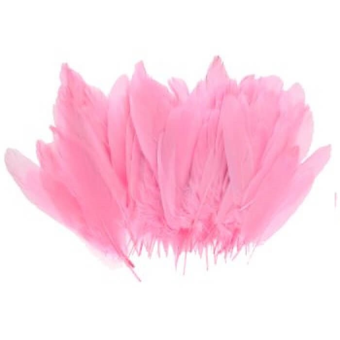 Pembe Renkli Kaz Tüyü