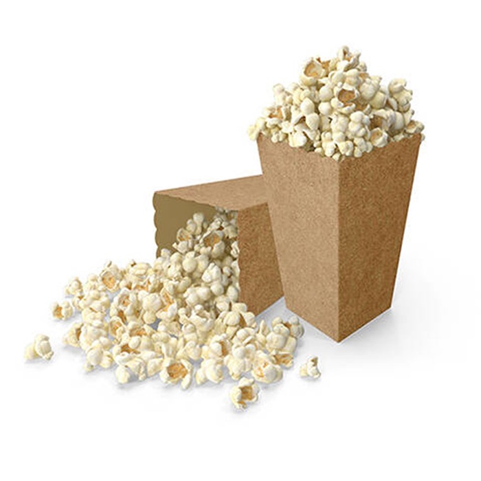 Craft Popcorn Kutusu