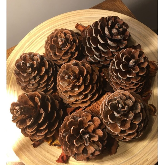Dekoratif Çam Kozalak Süs