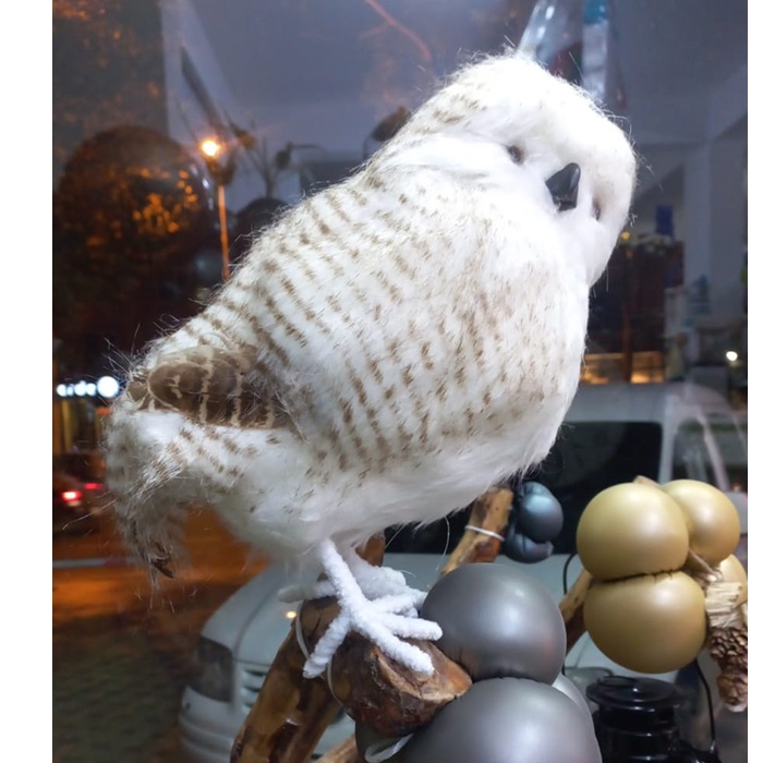 Desenli Baykuş Dekoratif Süs