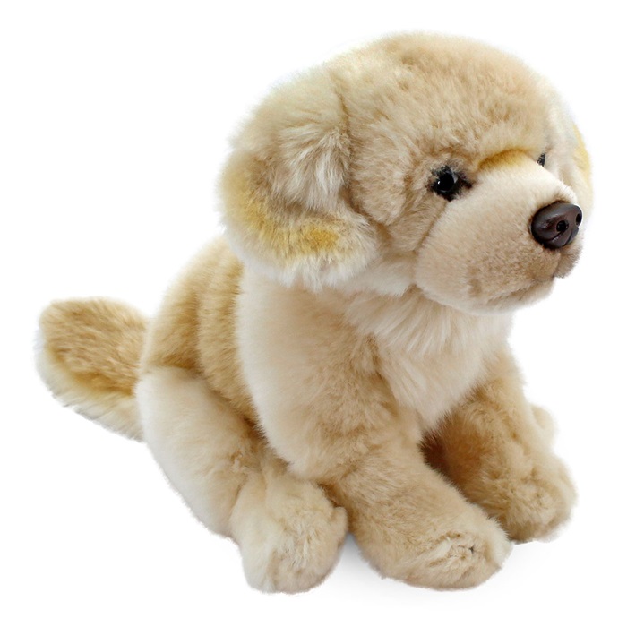 Golden Retriever Peluş Oyuncak