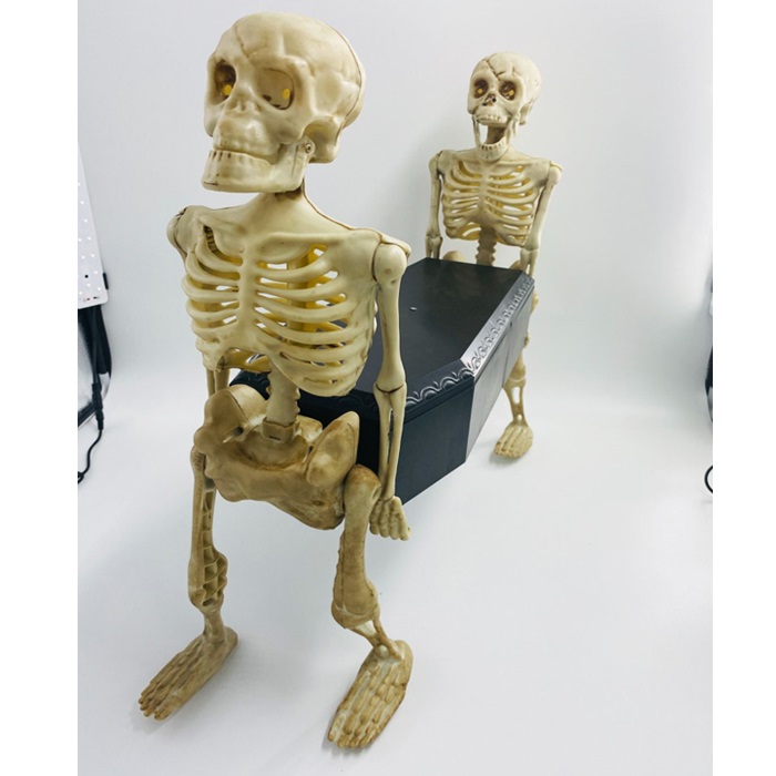 Hareketli Sesli Tabut Taşıyan 2 Li İskelet