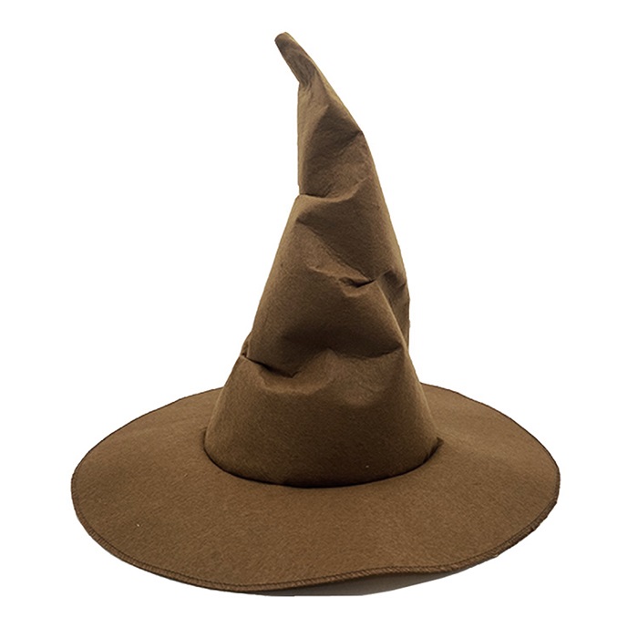 Harry Potter Şapkası