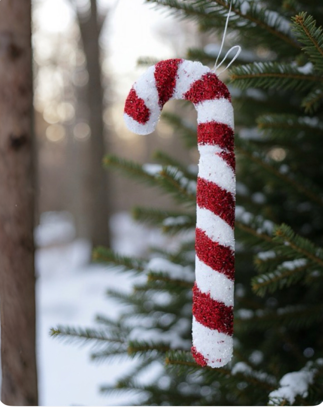 Yılbaşı Çam Ağacı Baston Şeker Asma Süs