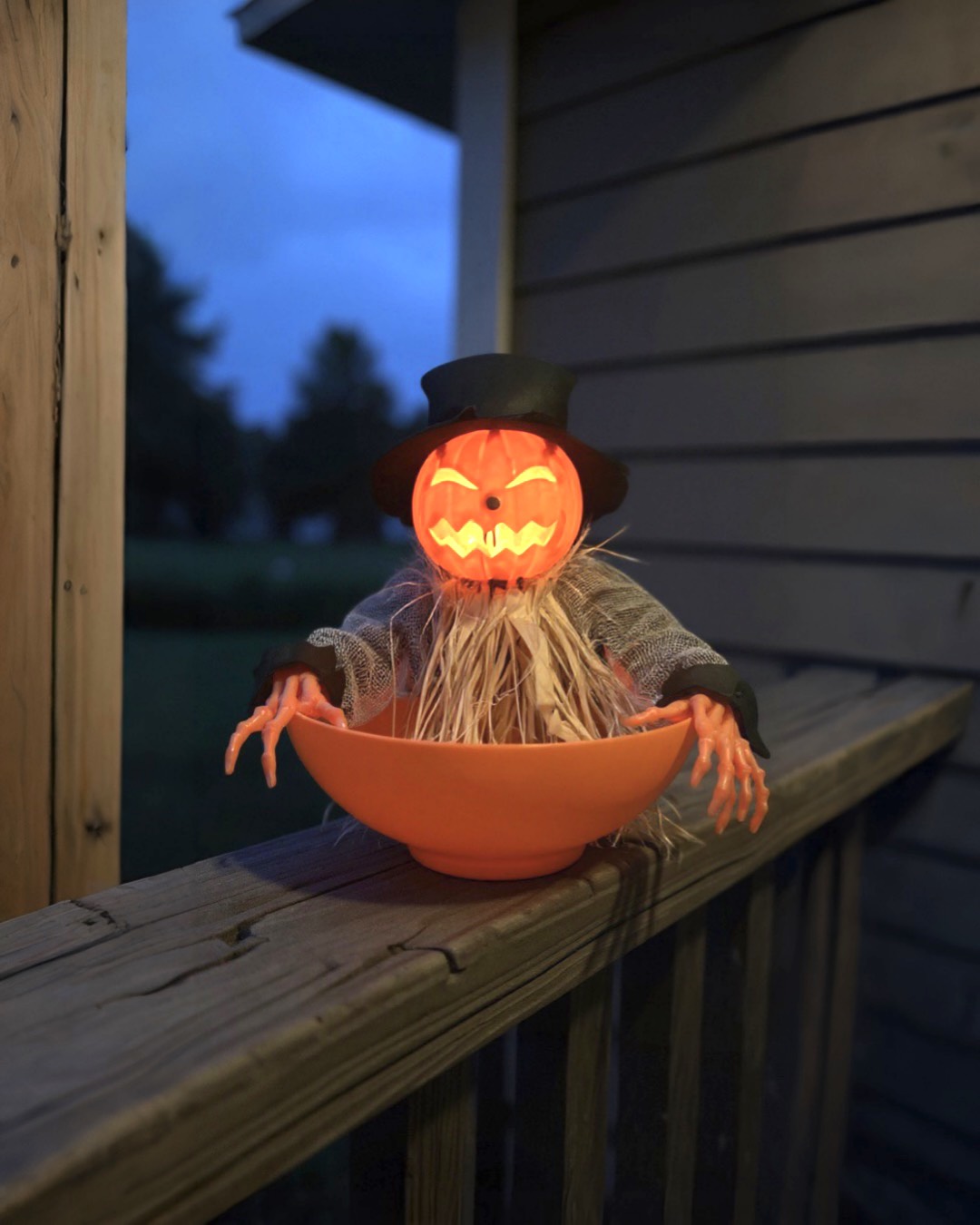 Hareketli Balkabağı Şeker Kasesi