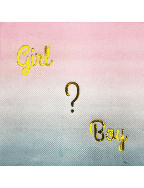 Cinsiyet Belirleme Partisi Kağıt Peçete