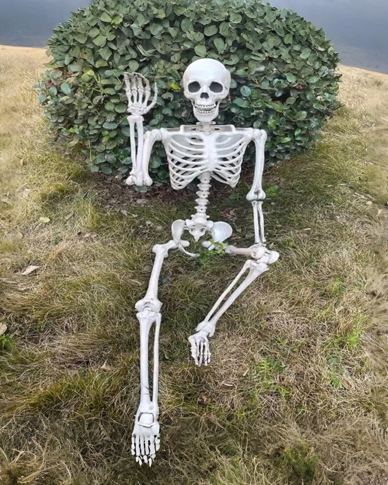 İskelet Halloween Cadılar Bayramı