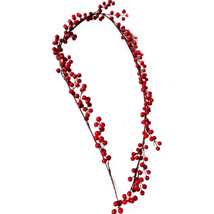 Kırmızı Renkli Berry Dal