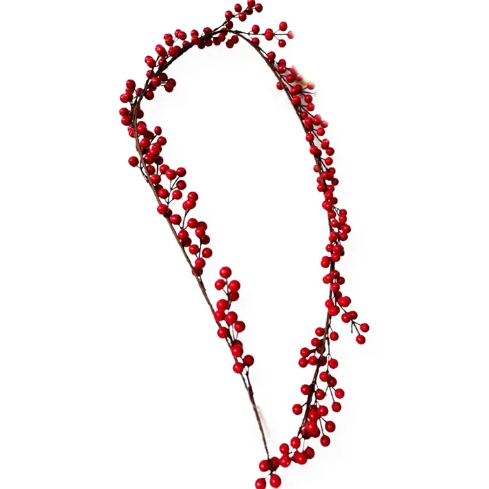Kırmızı Renkli Berry Dal