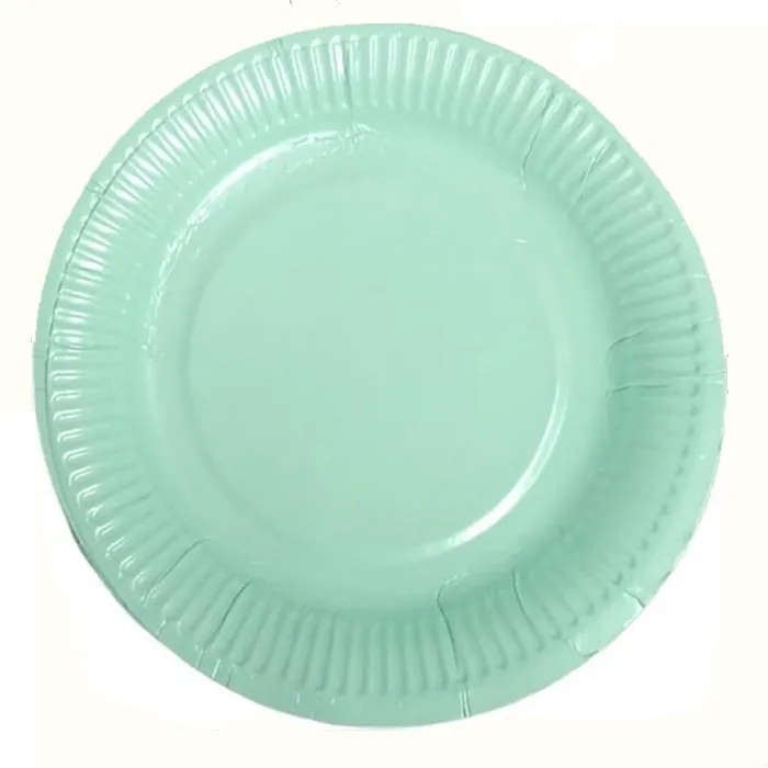 Mint Yeşili Karton Tabak