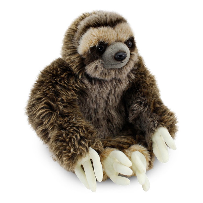 Oturan Tembel Hayvan