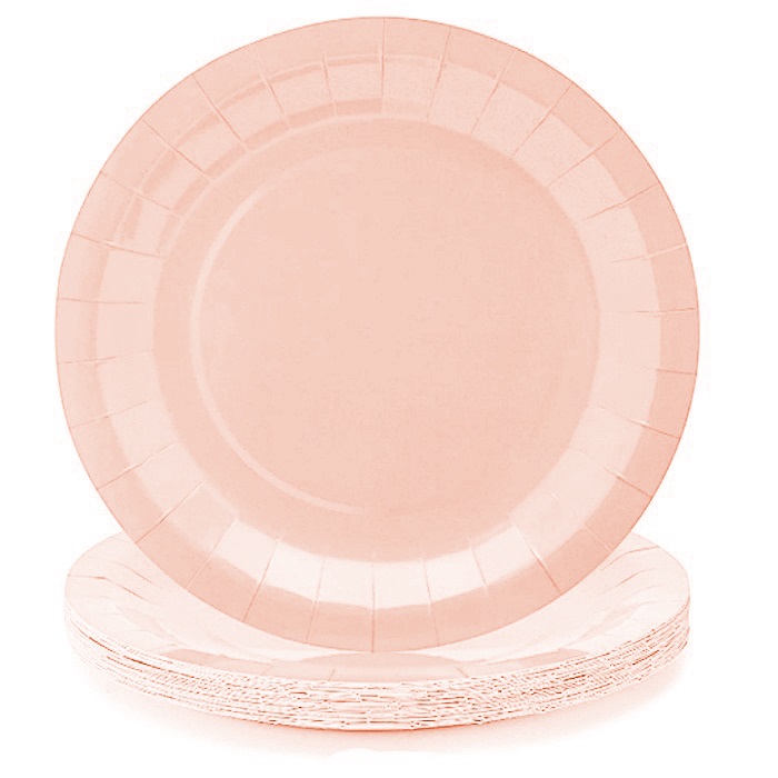 Somon Renkli Karton Tabak