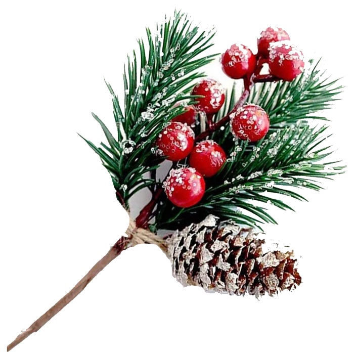 Yılbaşı Berry Kokinalı Dal